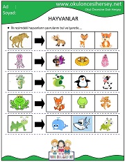 Hayvanların Yavrusunu Bul